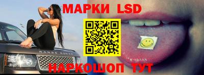 стаф Краснодар
