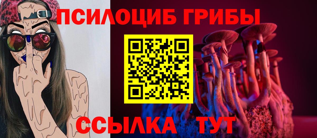 Калининград  Галлюциногенные грибы Cubensis  Вход с VPN 